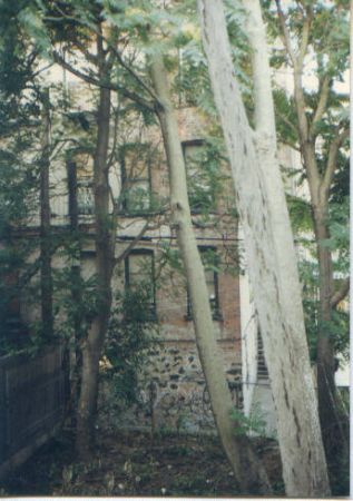 1a Early Back Yard 1 299 600 450 80