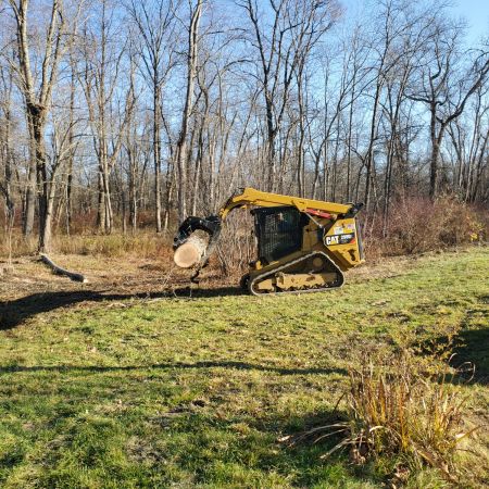 Moving the logs