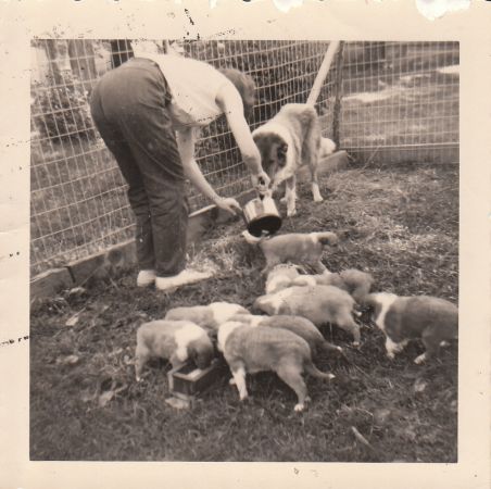 1950 14AnimalsMilly1953